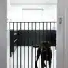 10076 5 pet gate streamline vedoracs fekete fem 63 5 107 cm 1